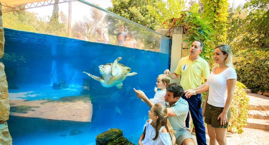 Palma: Palma Aquarium Ticket with Transfer Service - Coral exhibition, themed areas, and the 1-kilometer walking route