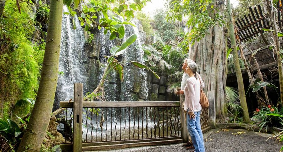 Palma: Palma Aquarium Ticket with Transfer Service - Price and value: what you get for about $39, plus the extras