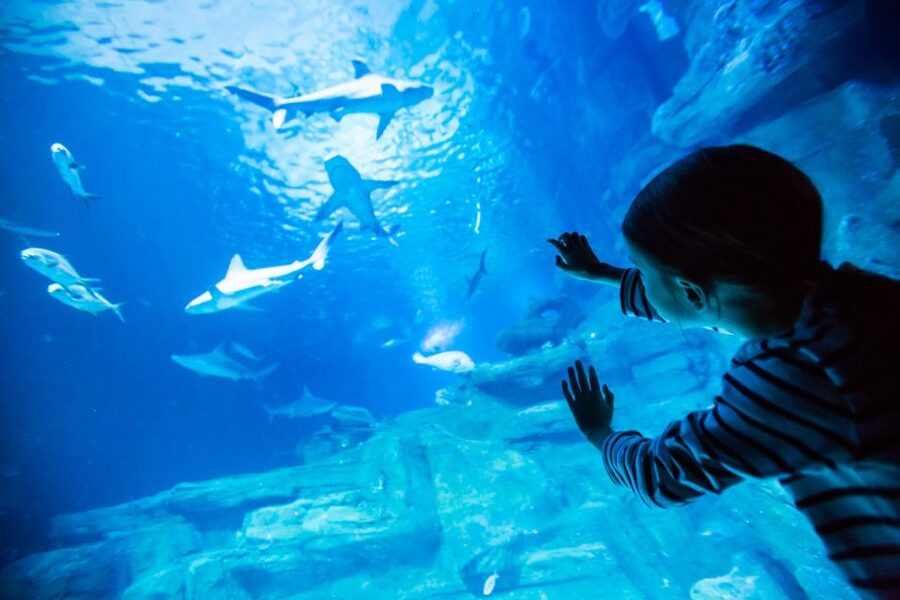 Paris: Aquarium de Paris Entrance Ticket - Key Highlights You’ll Actually Care About