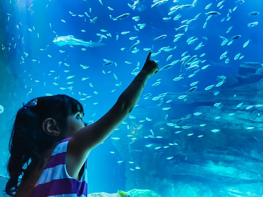 Paris: Aquarium de Paris Entrance Ticket - From Trocadéro to Ocean Magic: Getting In Without the Stress