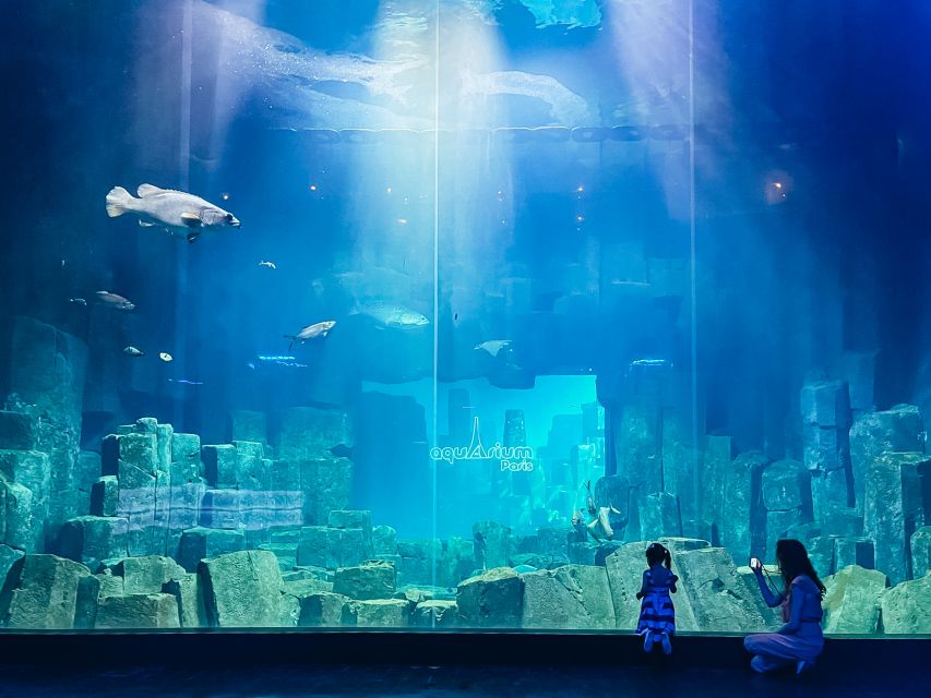 Paris: Aquarium de Paris Entrance Ticket - Touch Pool Reality: Stroking and Feeding Fish