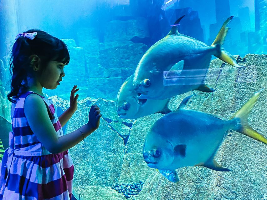 Paris: Aquarium de Paris Entrance Ticket - The Cinema + Live Shows + Workshops (How the Included Program Shapes Your Day)