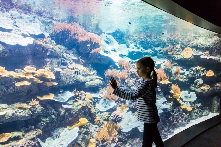 Paris: Aquarium de Paris Entrance Ticket - Price and Value: Is $25 Worth It?