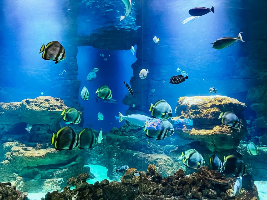 Paris: Aquarium de Paris Entrance Ticket - Practical Tips That Make Entry Smoother