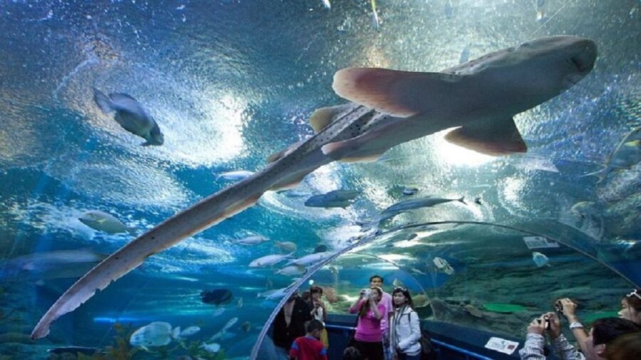 Pattaya: Underwater World Pattaya Aquarium Admission Ticket - Key things to know before you go