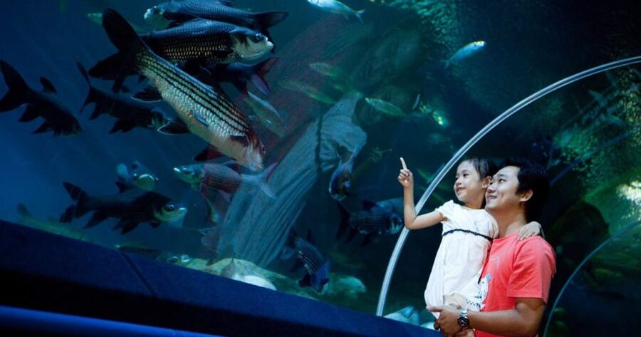 Pattaya: Underwater World Pattaya Aquarium Admission Ticket - Entering Underwater World Pattaya: tickets, ID, and what to do first