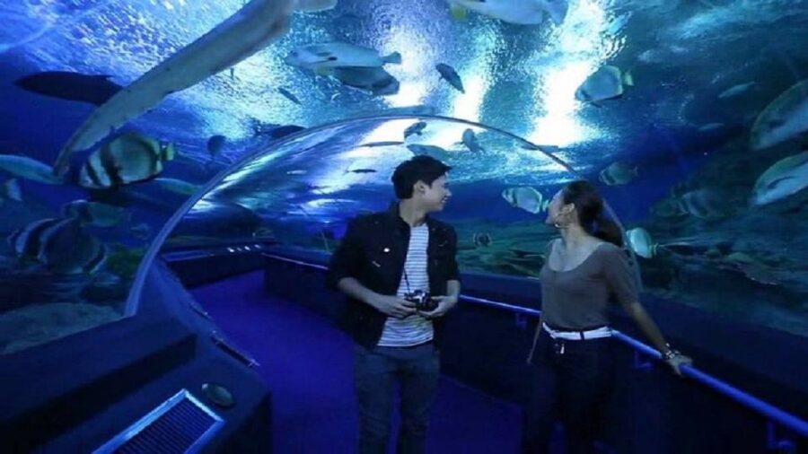 Pattaya: Underwater World Pattaya Aquarium Admission Ticket - Touch Pool Zone: the hands-on moment that makes the ticket feel worth it
