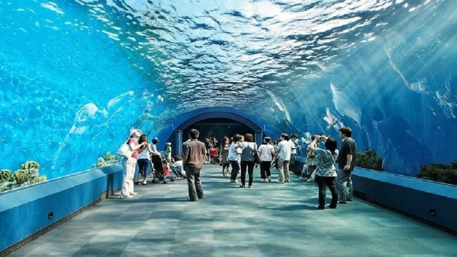 Pattaya: Underwater World Pattaya Aquarium Admission Ticket - What’s not included: plan your day around it