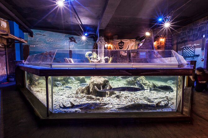 Premium Ticket Sea Life Benalmádena - Key Highlights You’ll Actually Care About