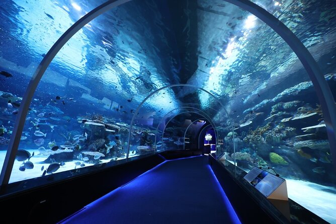 Private Hamad Port Tour in Mesaieed |Aquarium |Maritime Museum - Key highlights you’ll actually care about
