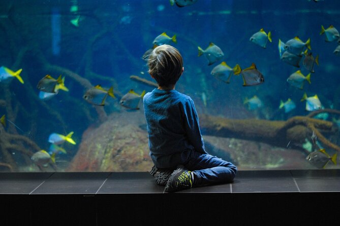 Private Hamad Port Tour in Mesaieed |Aquarium |Maritime Museum - Hamad Port Visitors Centre: maritime and ocean life in Mesaieed