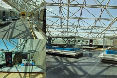 Private Hamad Port Tour in Mesaieed |Aquarium |Maritime Museum - The 4D cinema: port stories that move and shake