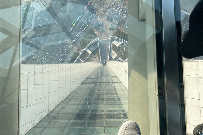 Private tour Lotte World,Tower,Aquarium(All Tickets are included) - Entering Lotte World: indoor Adventure plus outdoor Magic Island