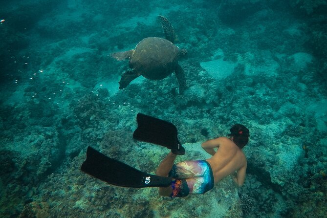 Private Waikiki Boat Charter – Create Your Own Ocean Experience - Why this private Waikiki charter feels different
