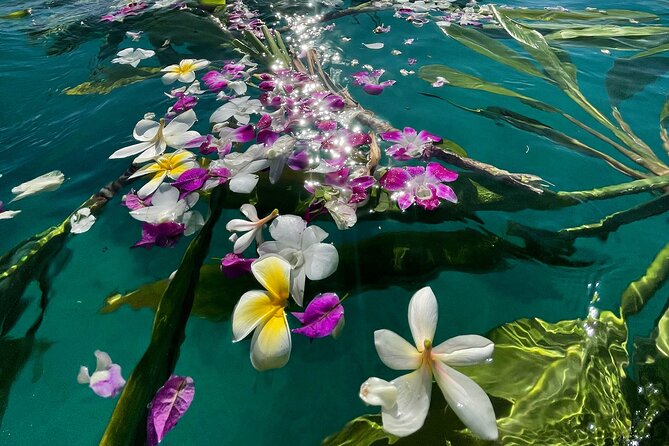 Private Waikiki Boat Charter – Create Your Own Ocean Experience - Snorkeling gear included: what you can realistically expect