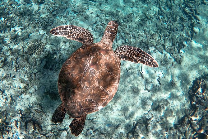 Private Waikiki Boat Charter – Create Your Own Ocean Experience - What to bring so the day stays smooth