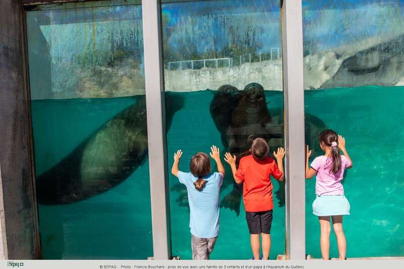 Quebec: Aquarium du Quebec Entry Ticket - Aquarium du Québec: what you actually get for $19