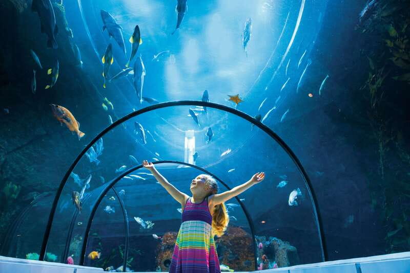 Quebec: Aquarium du Quebec Entry Ticket - Outdoor habitats first: seals, polar bears, arctic foxes, and St Lawrence views