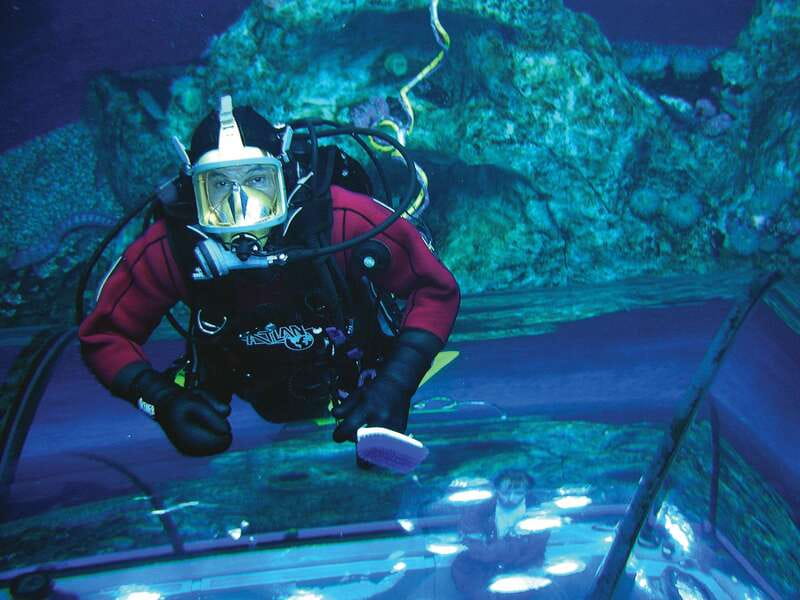 Quebec: Aquarium du Quebec Entry Ticket - Awesome Ocean: the 92,000-gallon underwater tunnel moment