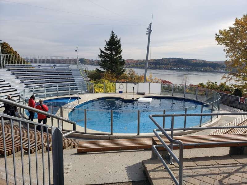 Quebec: Aquarium du Quebec Entry Ticket - What to wear, what to bring, and what to skip