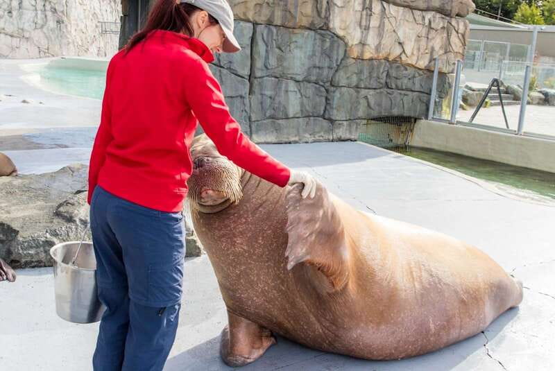 Quebec: Aquarium du Quebec Entry Ticket - How much time should you set aside?
