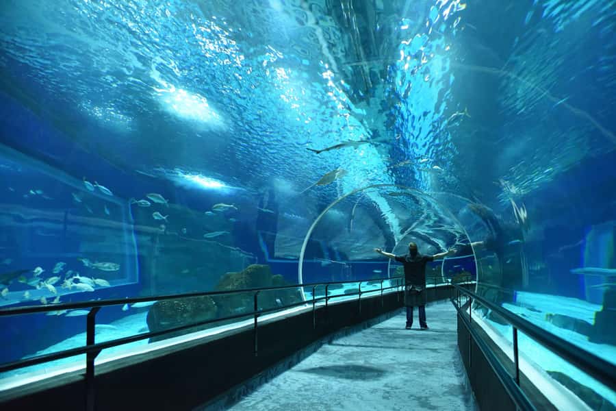 Rio de Janeiro: Marine Aquarium Entry Tickets - Exactly what your ticket includes (and what you must arrange)