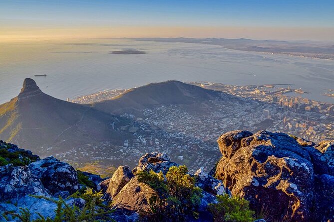 Robben Island Guided Tour & Two Ocean Aquarium with tickets - V&A Waterfront break: where the day relaxes for a moment