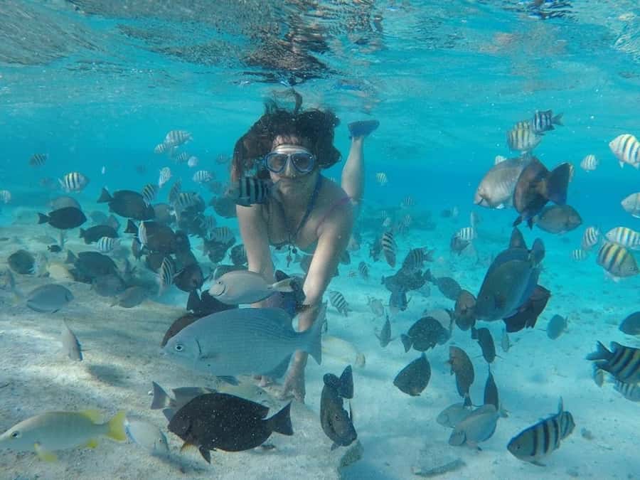 San Andres: Transfer by Boat + Natural Aquarium - Natural Aquarium key: why this is the point of San Andrés
