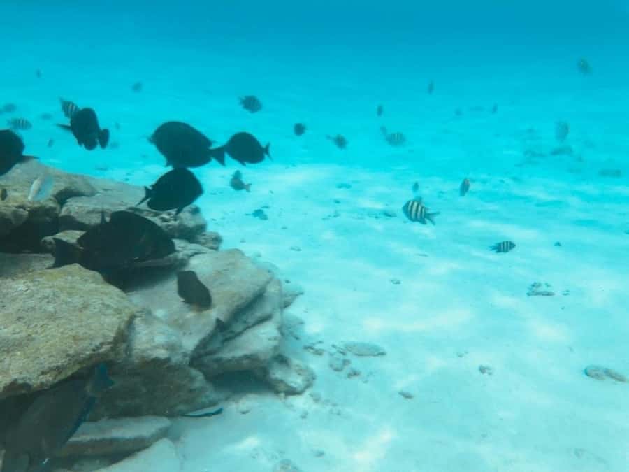 San Andres: Transfer by Boat + Natural Aquarium - That sea-of-7-colors look: how to enjoy it without chasing perfection