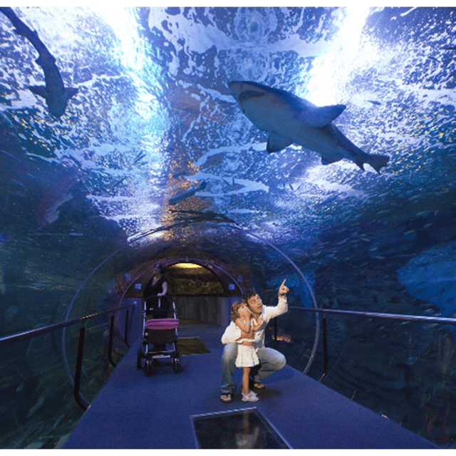 San Sebastian walking tour and aquarium - The Harbor Walk: Where the Tour’s Sea Story Gets Real