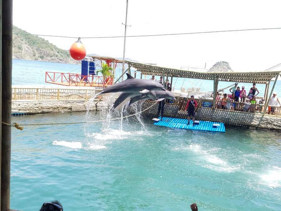 SANTAMARTA: TOUR Combo boat taxi, aquarium, lunch, and white sand beach - Playa Blanca, Santa Marta: lunch, swimming, and hours of real beach time