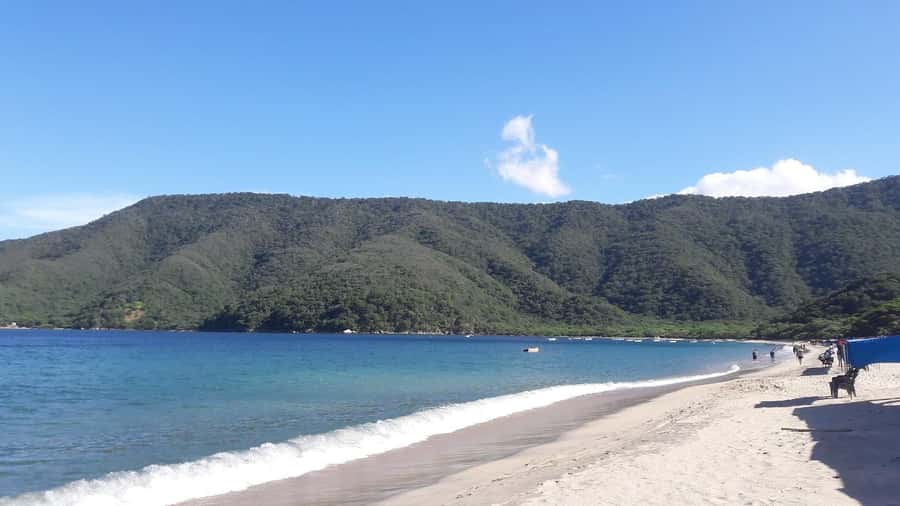 SANTAMARTA: TOUR Combo boat taxi, aquarium, lunch, and white sand beach - Inca Inca Beach or Playa Blanca: confirm your exact beach option