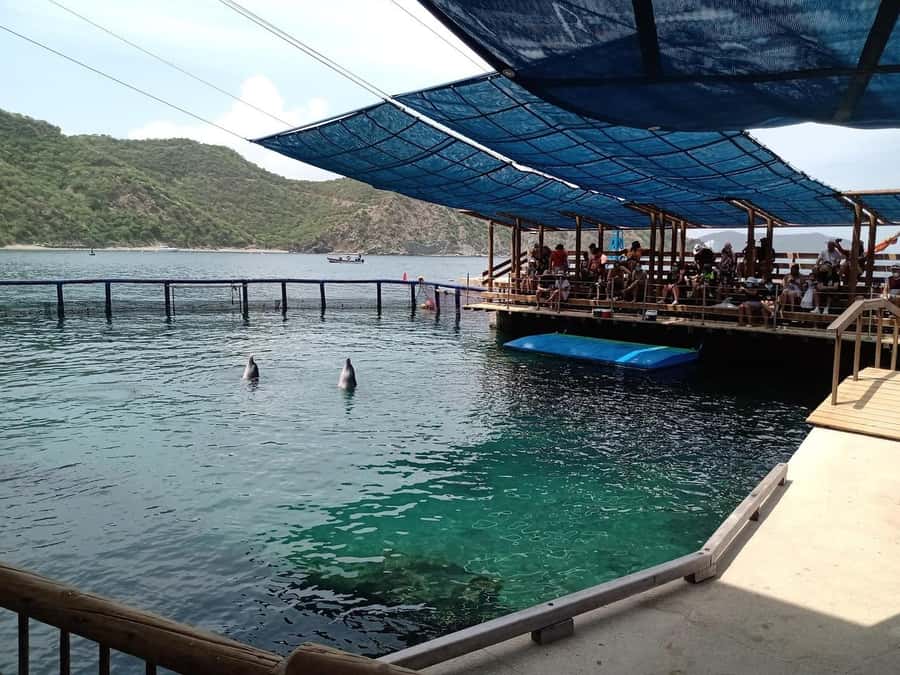 SANTAMARTA: TOUR Combo boat taxi, aquarium, lunch, and white sand beach - Who should book the Taximarino combo?