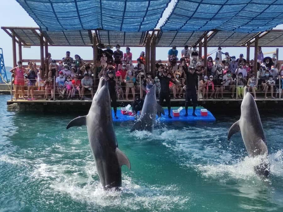 SANTAMARTA: TOUR Combo boat taxi, aquarium, lunch, and white sand beach - The water taxi to the beach: why the “transfer” is part of the fun