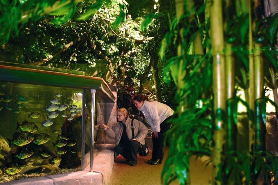 Scheveningen, The Hague: Sea Life Entry Ticket - Arrival and how to start: use the entrance, not your imagination