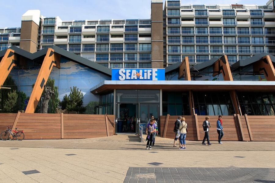 Scheveningen, The Hague: Sea Life Entry Ticket - Otter Max and the penguins: the animal section with personality