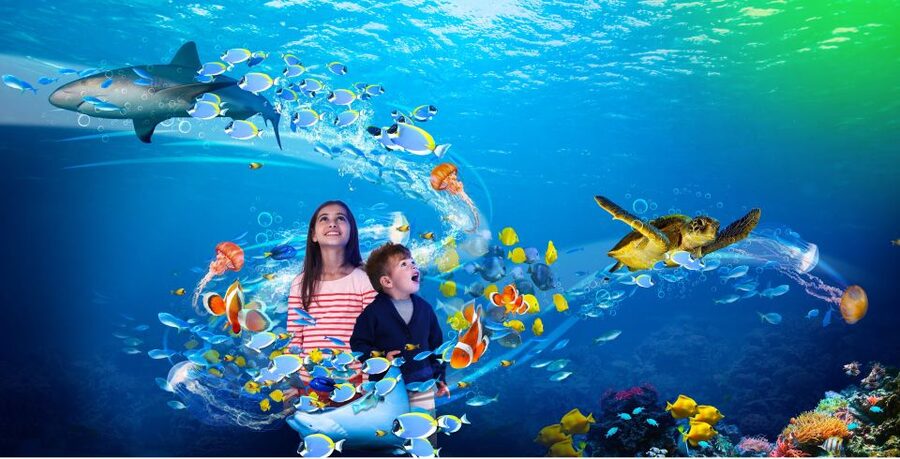 Scheveningen, The Hague: Sea Life Entry Ticket - Sharks, rays, and the up-close effect you can actually feel