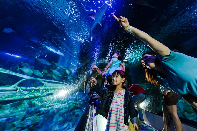 SEA LIFE Aquarium Arizona Admission Ticket - Key Highlights to Know Before You Go