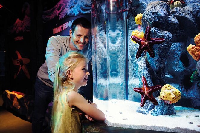 SEA LIFE Aquarium Arizona Admission Ticket - SEA LIFE at Arizona Mills: Easy Mall Aquarium Time