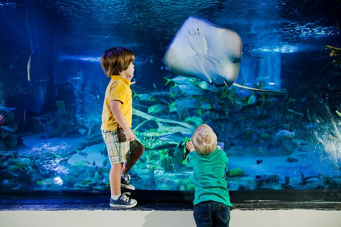 SEA LIFE Aquarium Arizona Admission Ticket - Animal Encounters and Education Talks You Can Catch