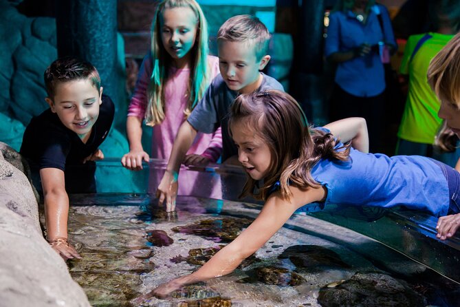 SEA LIFE Aquarium Arizona Admission Ticket - What the Layout Feels Like for Toddlers and Kids