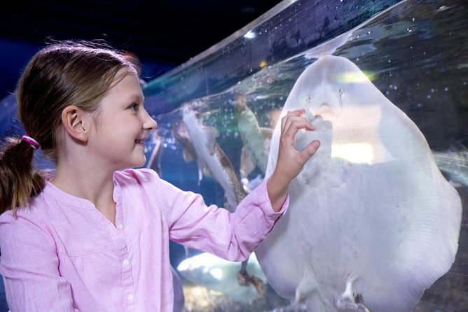 SEA LIFE Aquarium Arizona Admission Ticket - Combo Option: SEA LIFE + LEGOLAND Discovery Center in One Day
