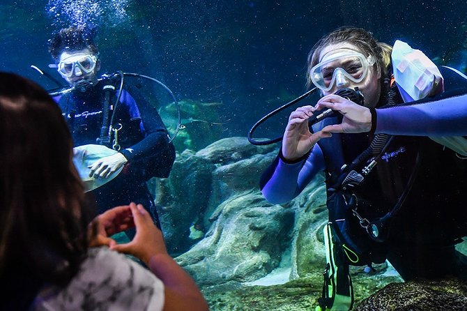 SEA LIFE Aquarium Arizona Admission Ticket - Practical Tips That Make Your Visit Go Smoothly