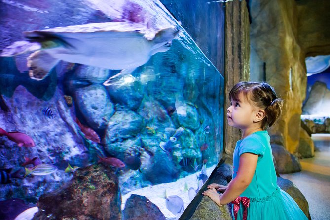 SEA LIFE Aquarium Arizona Admission Ticket - Should You Book SEA LIFE Aquarium Arizona Tickets?