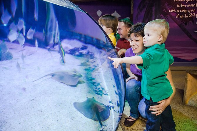 SEA LIFE Aquarium Arizona Admission Ticket - Inside the Aquarium: Sharks, Rays, Seahorses, and the Rockpool Explorer Route