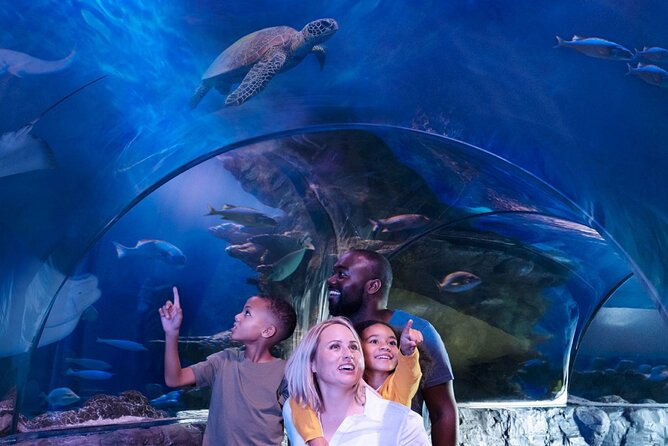 SEA LIFE Aquarium Grapevine Admission Ticket - Key points before you go