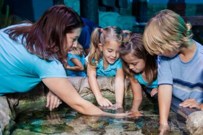 SEA LIFE Aquarium Grapevine Admission Ticket - Entering SEA LIFE: the two-level layout and the quick “wow” factor