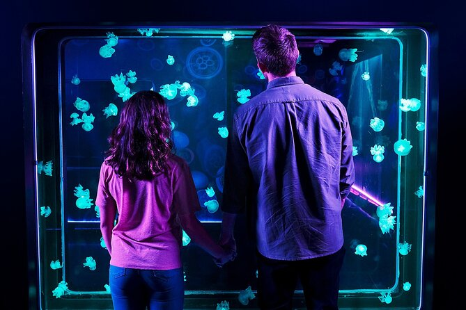SEA LIFE Aquarium Grapevine Admission Ticket - Sharks, seahorses, sea turtles, and the tank variety you can actually finish