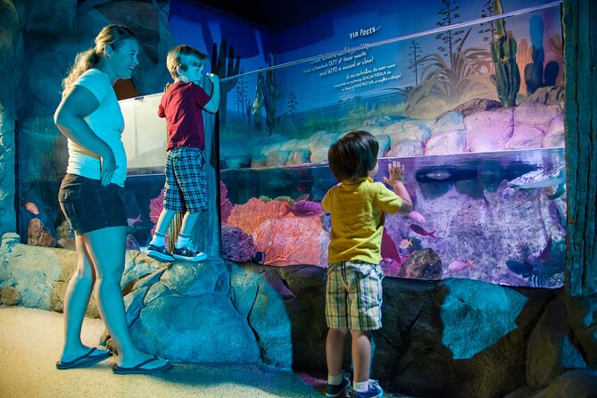 SEA LIFE Aquarium Grapevine Admission Ticket - Bay of Rays and jellyfish rooms: pick your “anchor” exhibits