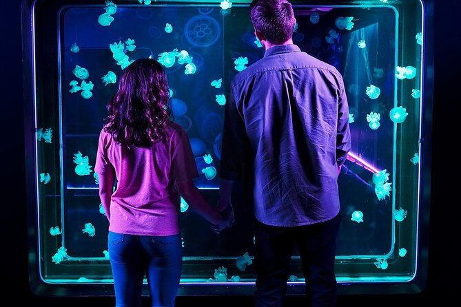 SEA LIFE Aquarium Minnesota Admission Ticket at Mall of America - Price and value: $26.87 is fair, but plan around crowd-speed